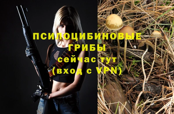 эйфоретик Баксан