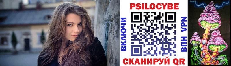 Псилоцибиновые грибы прущие грибы  где можно купить   Балей 